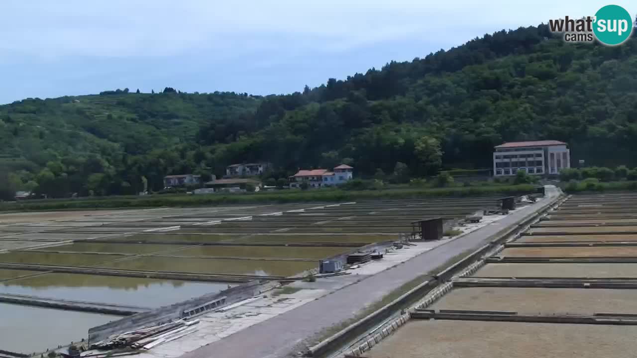 Parco naturale Strugnano
