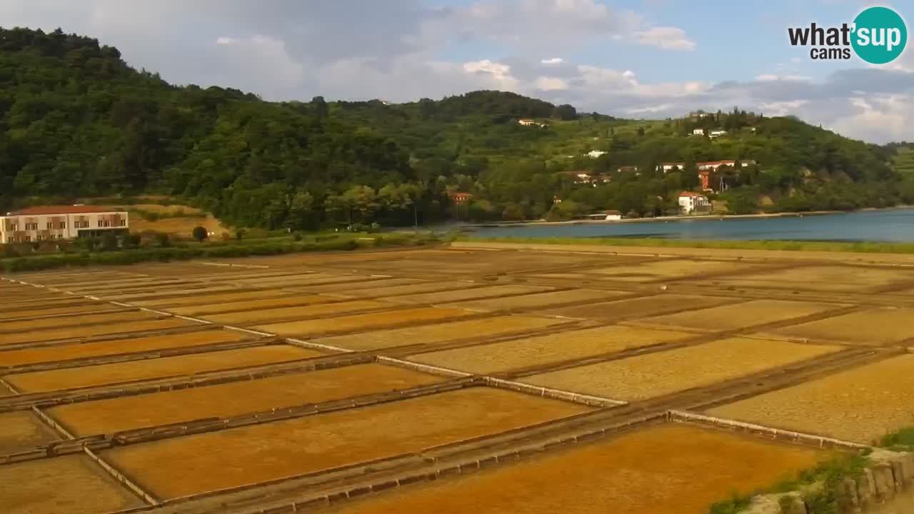 Krajinski park Strunjan u živo