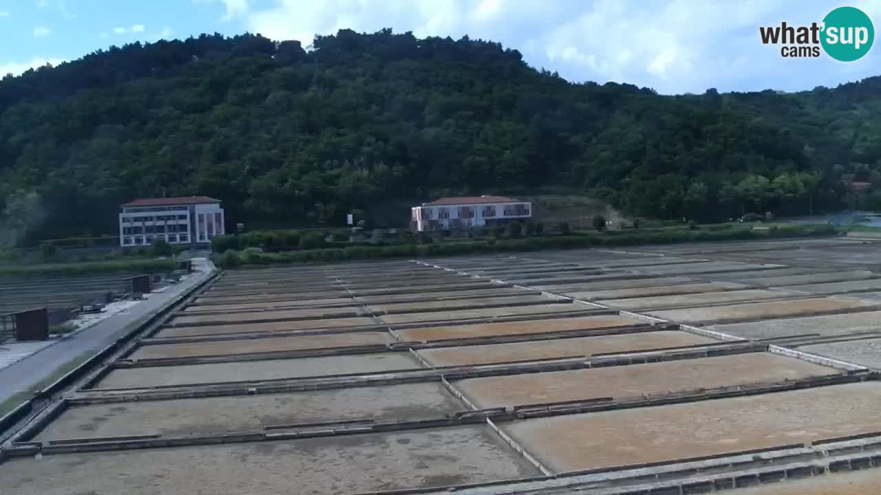 Krajinski park Strunjan