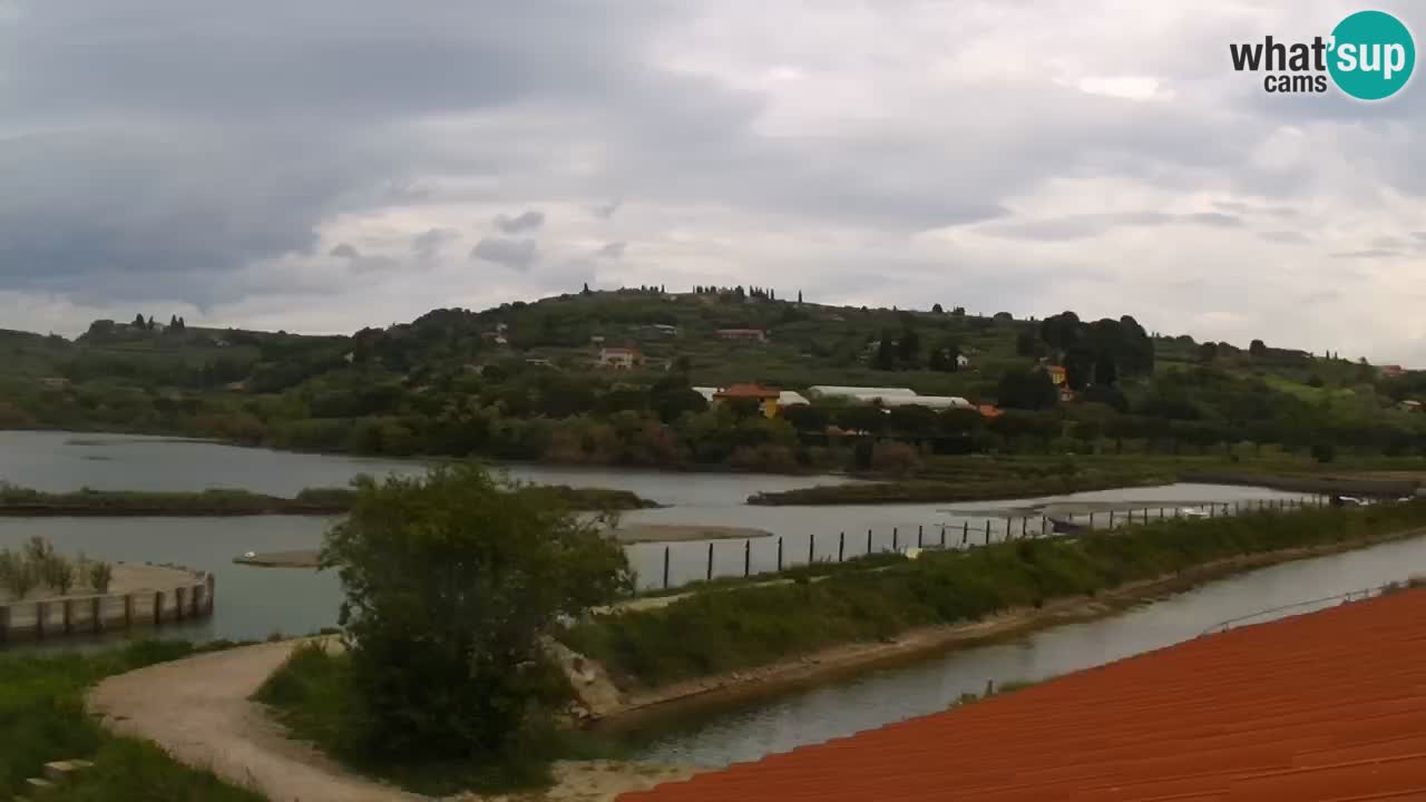 Krajinski park Strunjan v živo