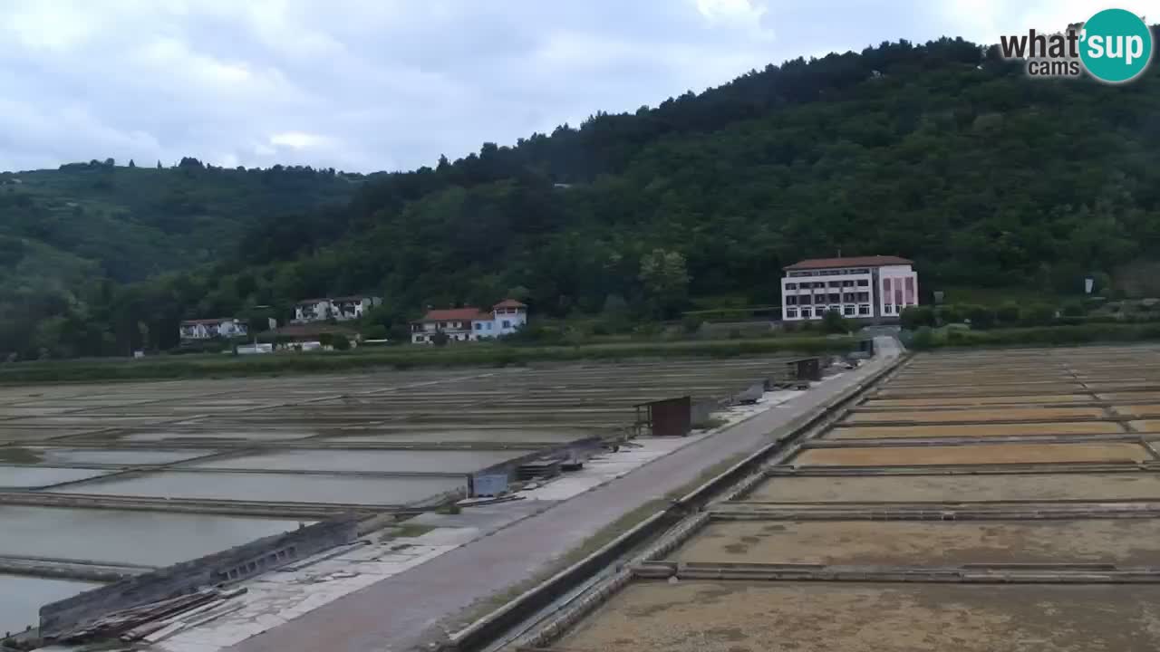 Krajinski park Strunjan