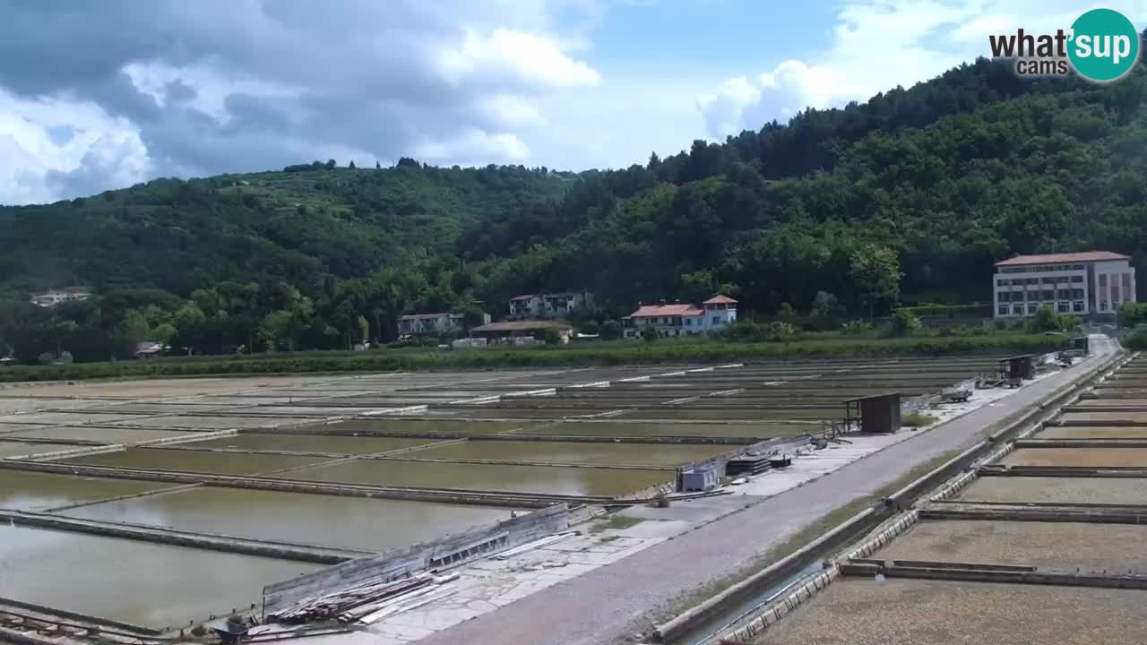 Krajinski park Strunjan