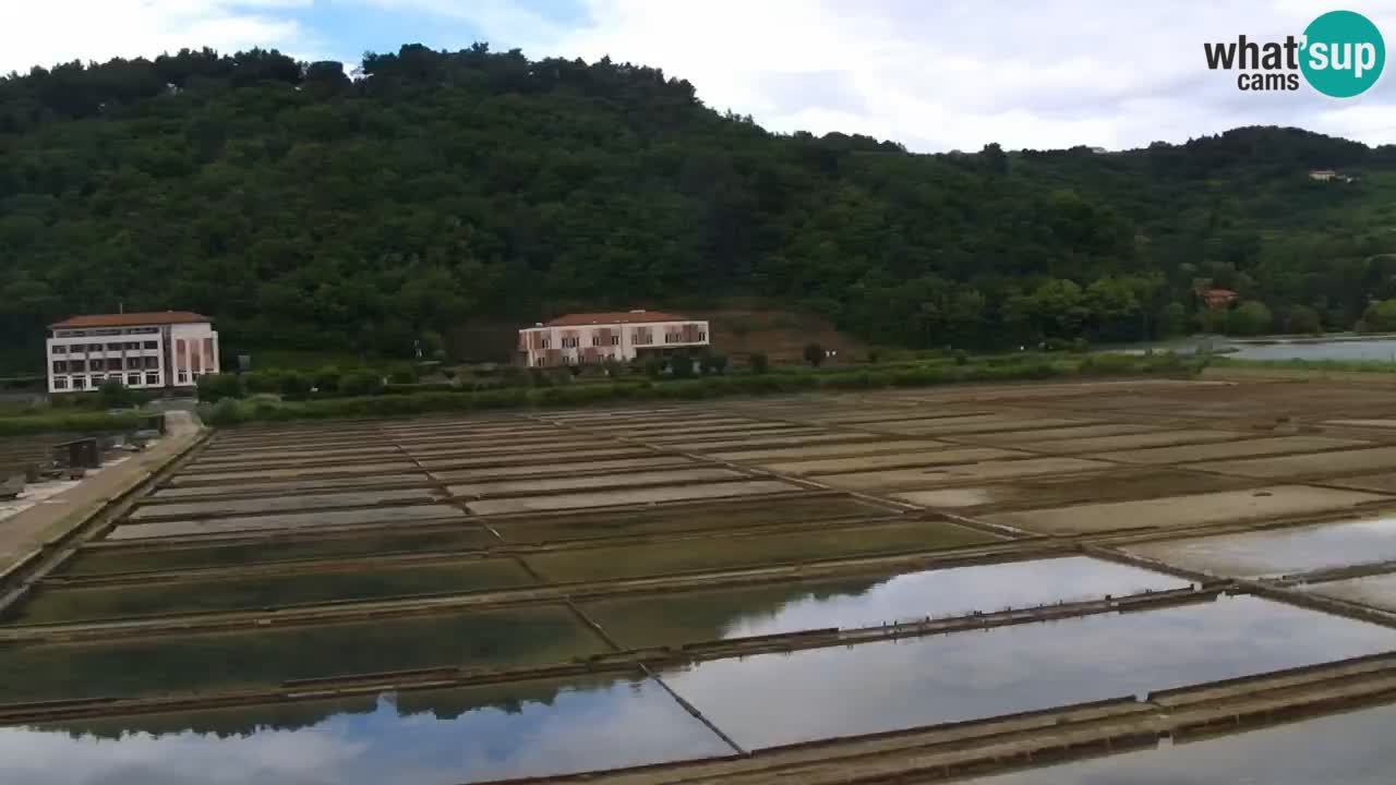 Krajinski park Strunjan