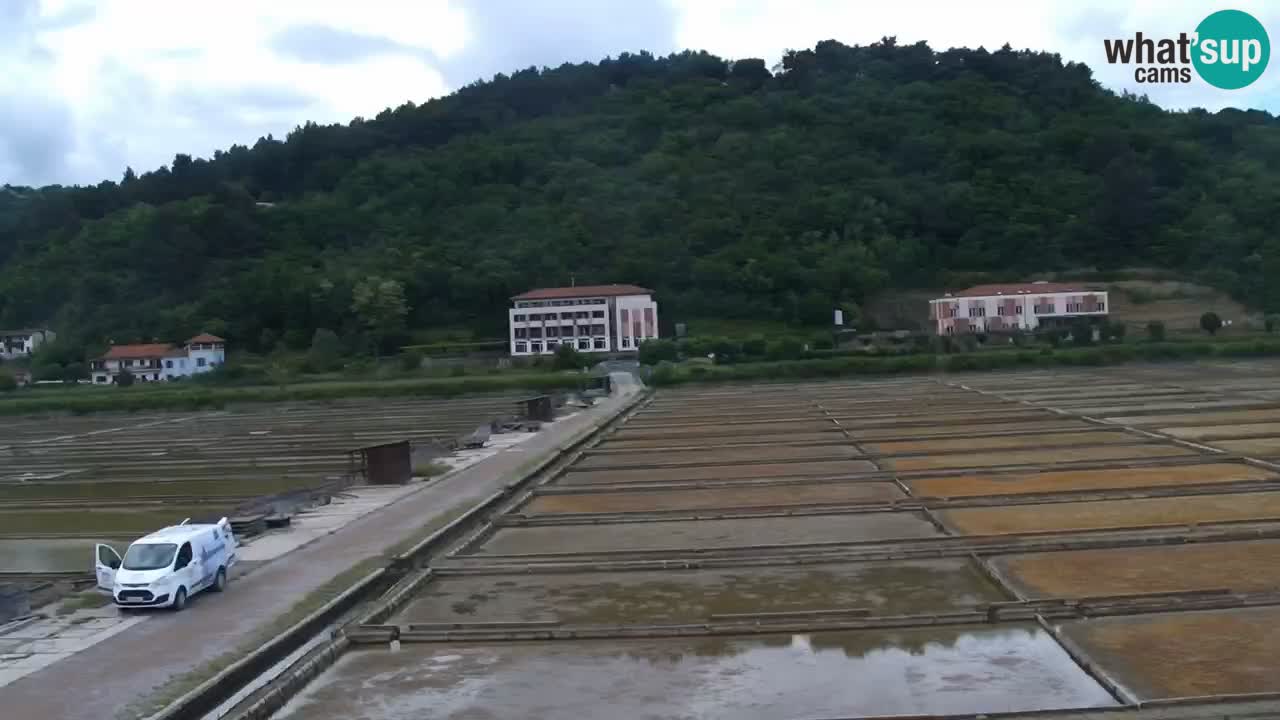 Krajinski park Strunjan v živo