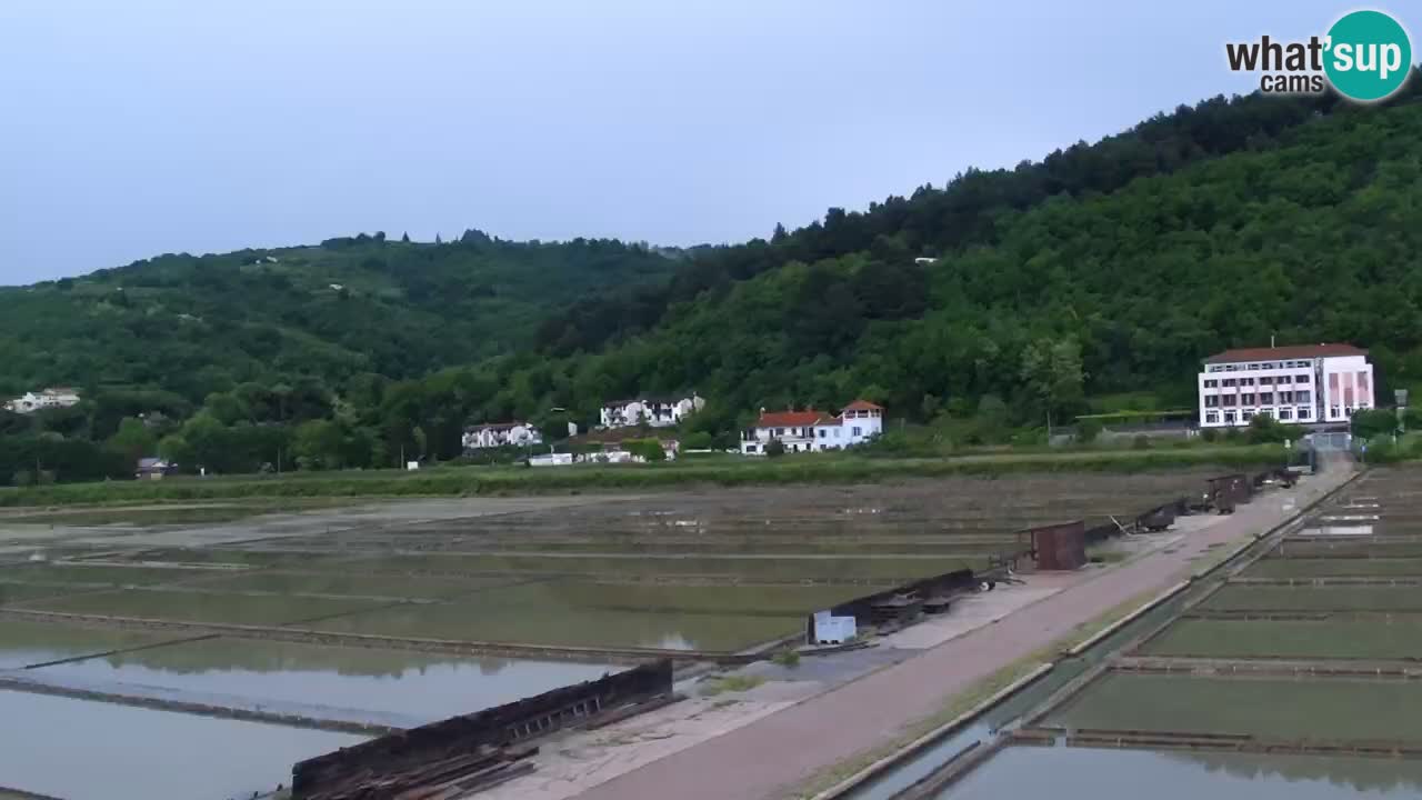 Parco naturale Strugnano