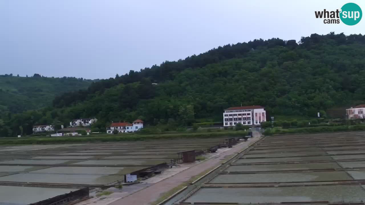 Krajinski park Strunjan
