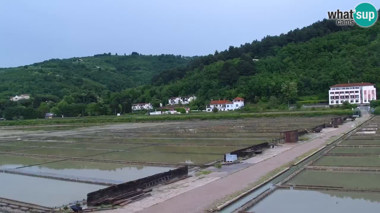 Krajinski park Strunjan
