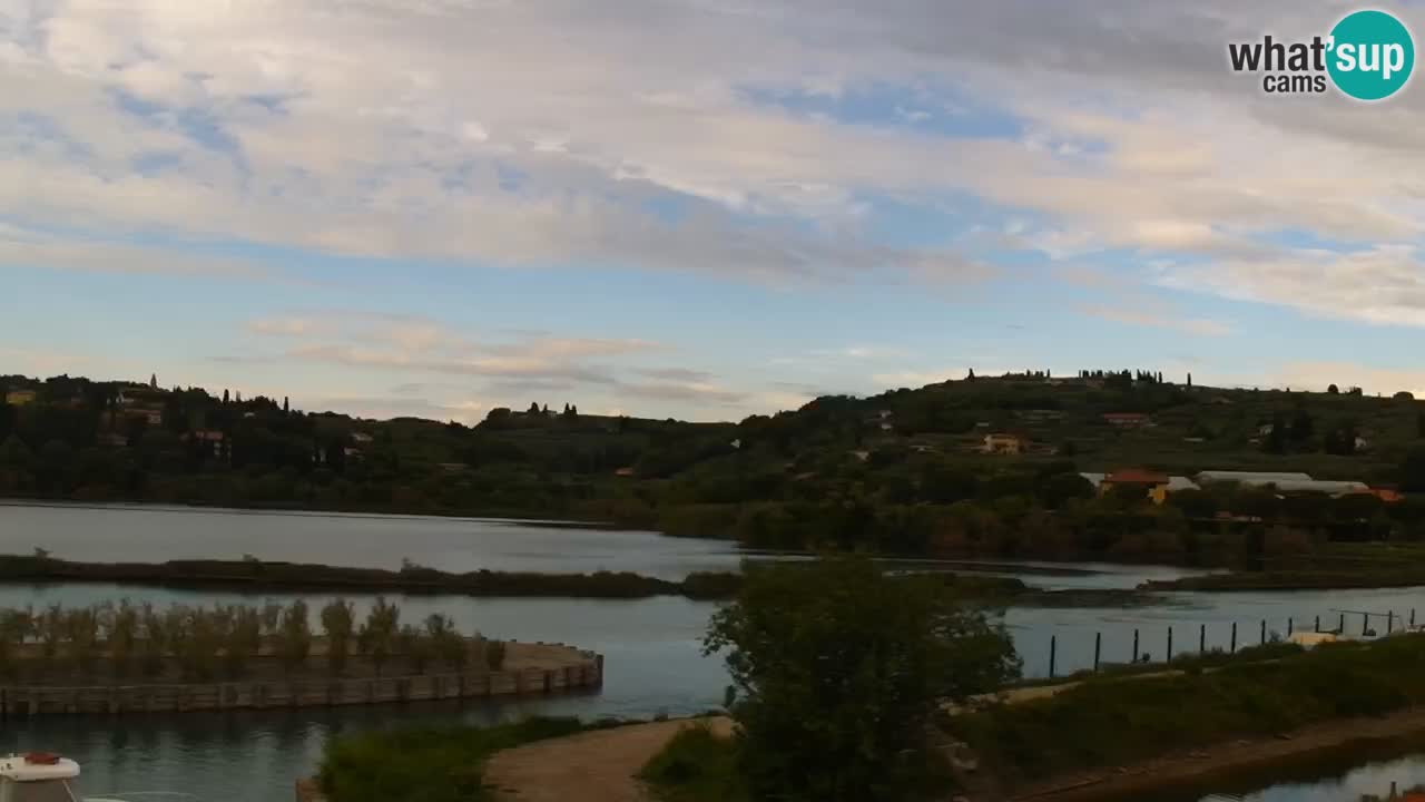 Krajinski park Strunjan u živo