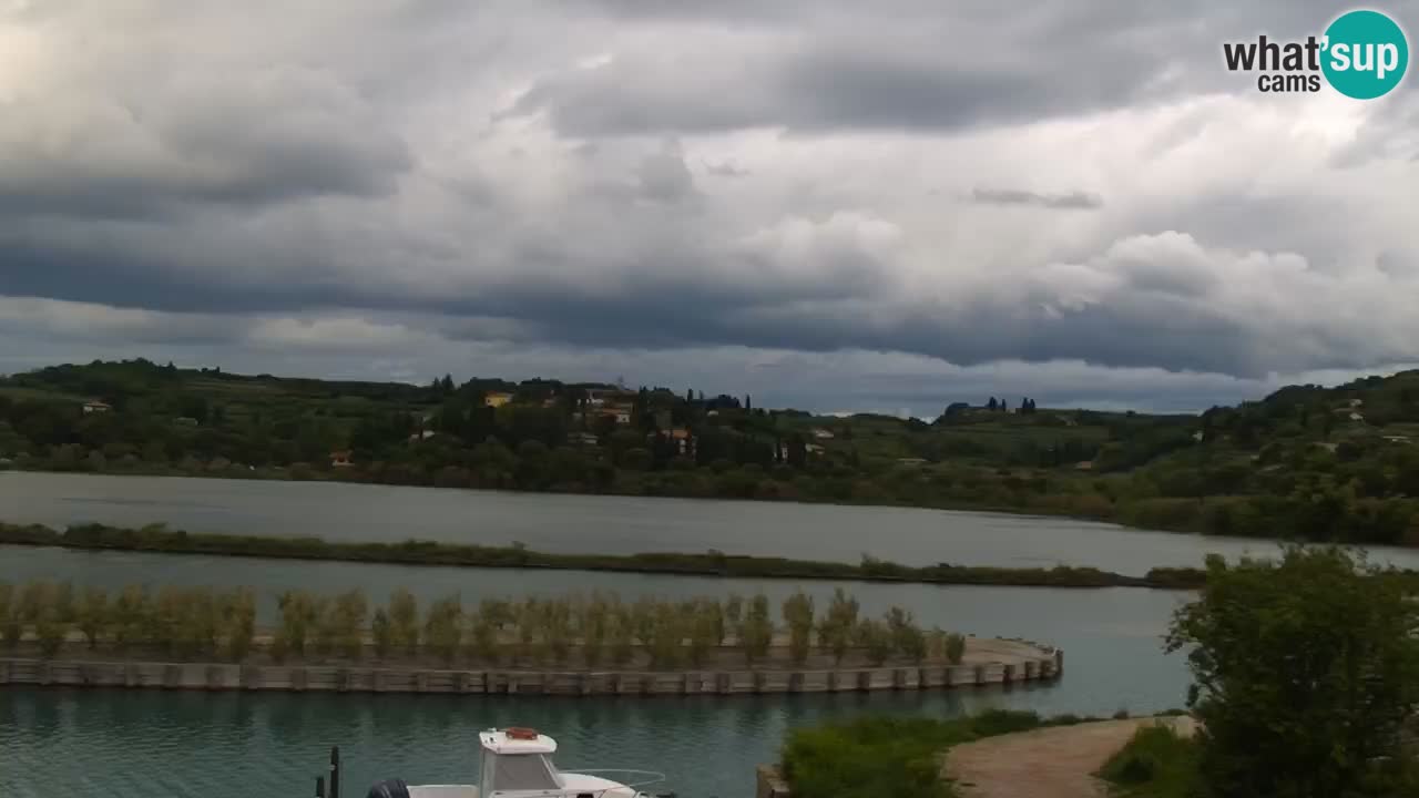Krajinski park Strunjan v živo