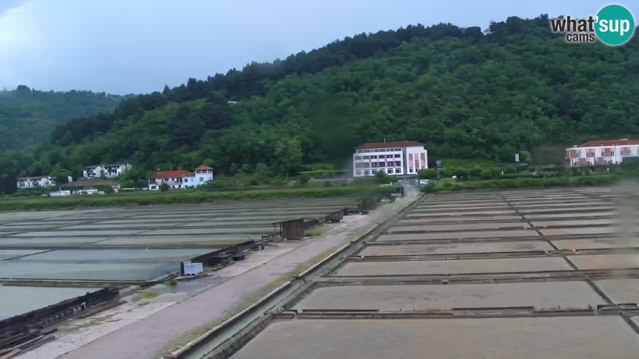 Krajinski park Strunjan
