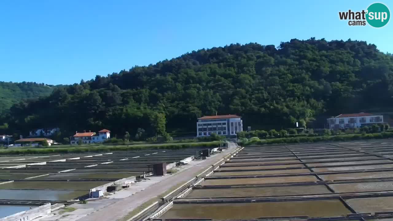 Krajinski park Strunjan