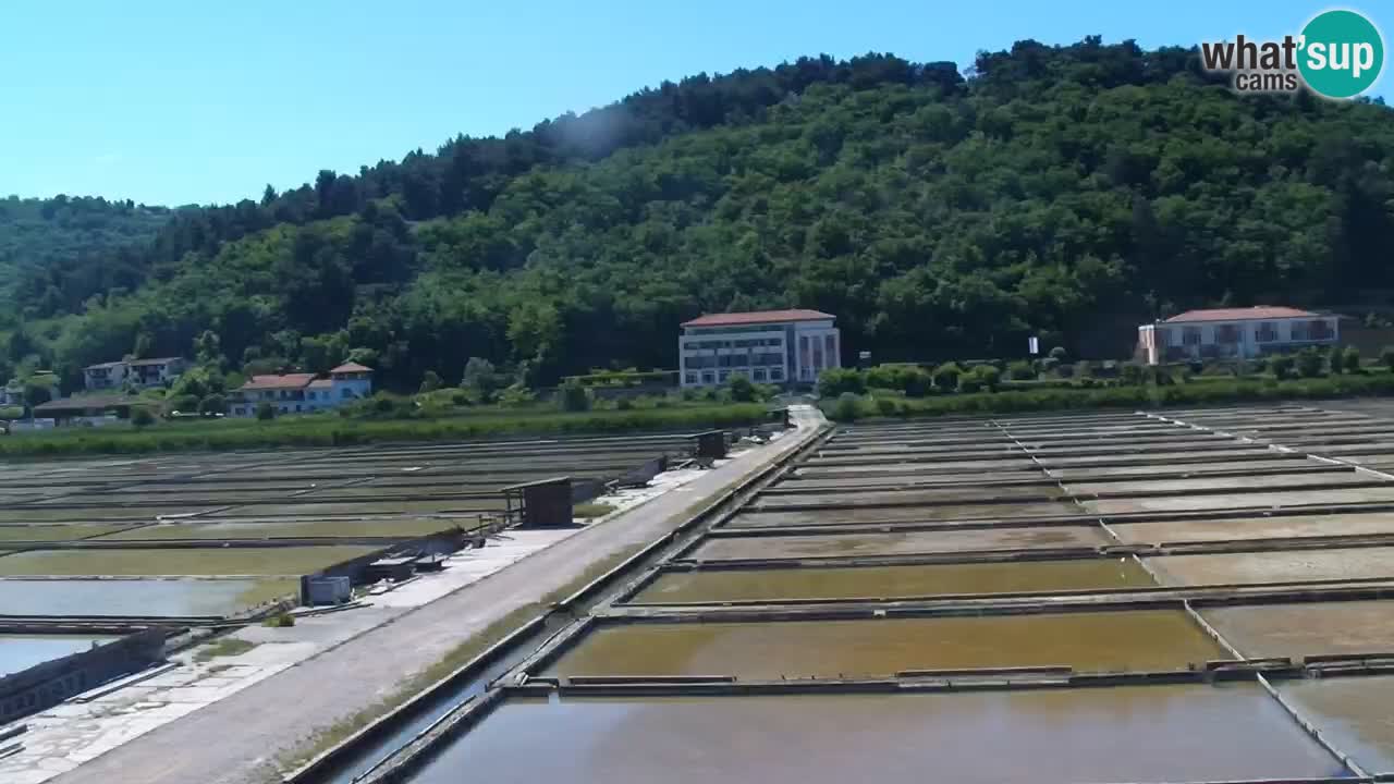 Krajinski park Strunjan v živo