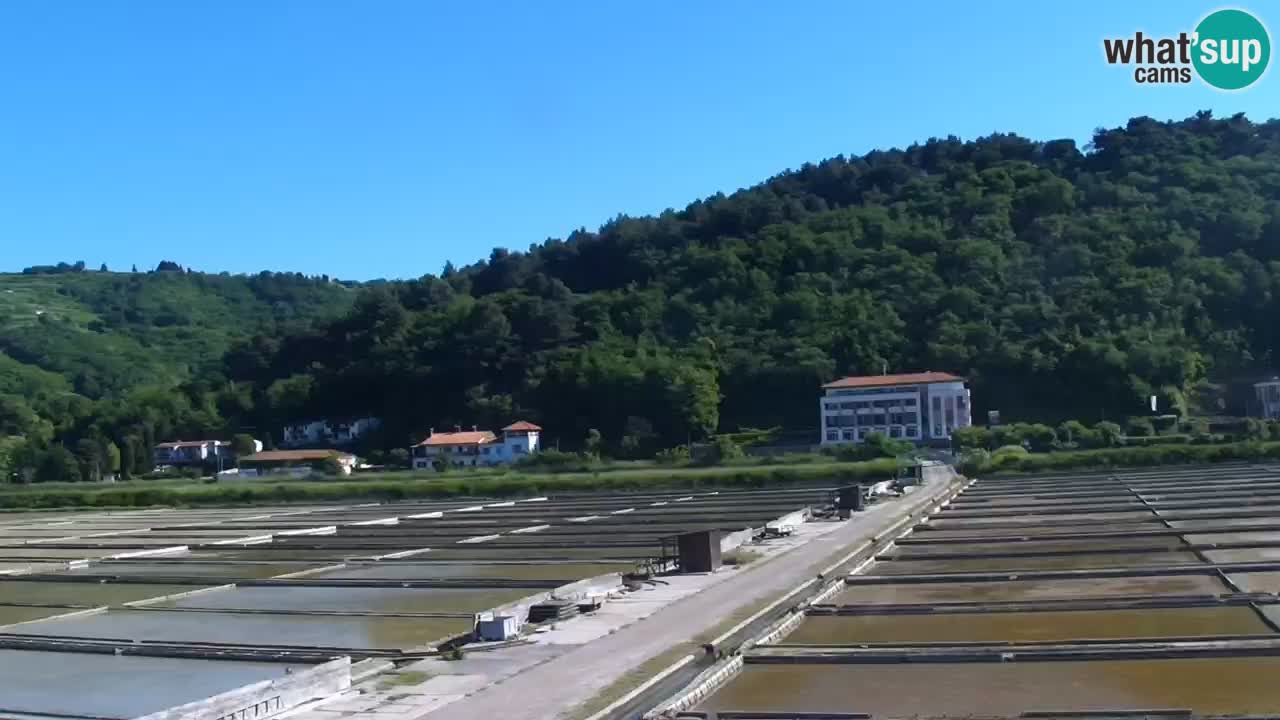 Krajinski park Strunjan