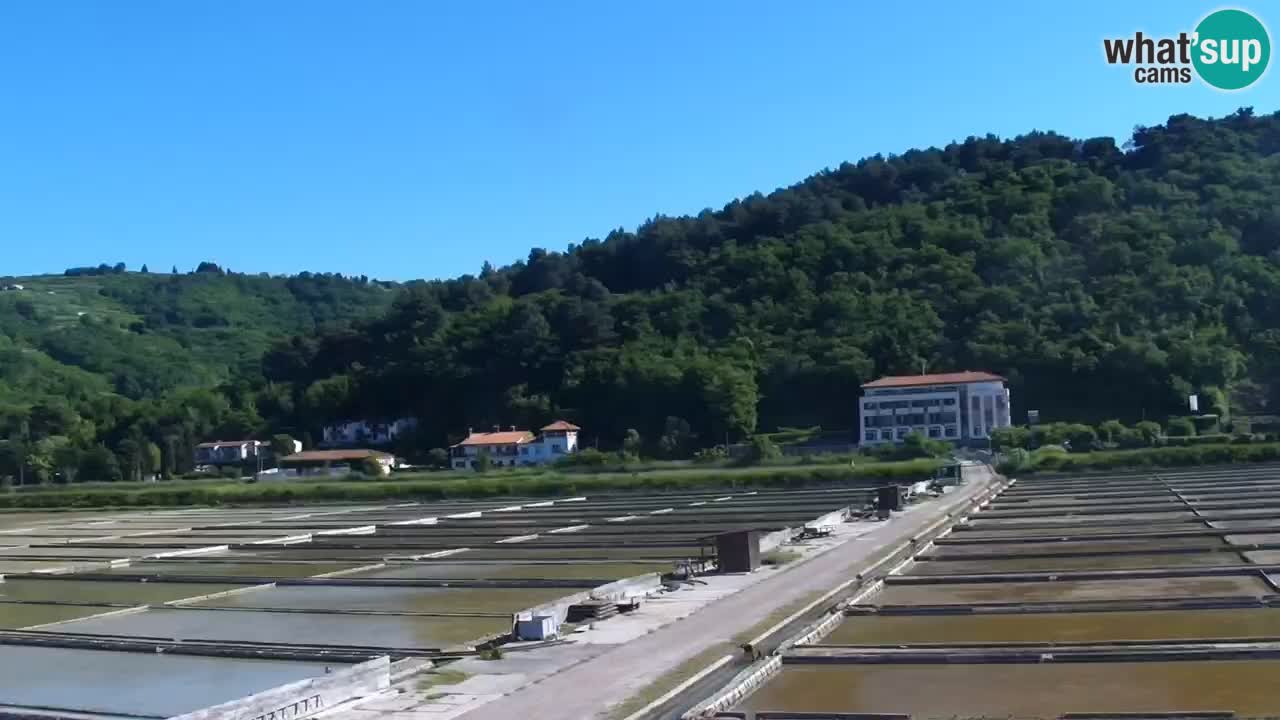 Krajinski park Strunjan v živo
