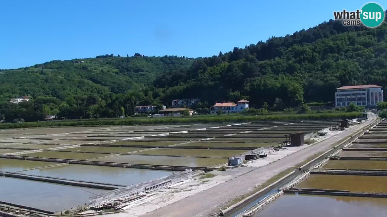 Krajinski park Strunjan
