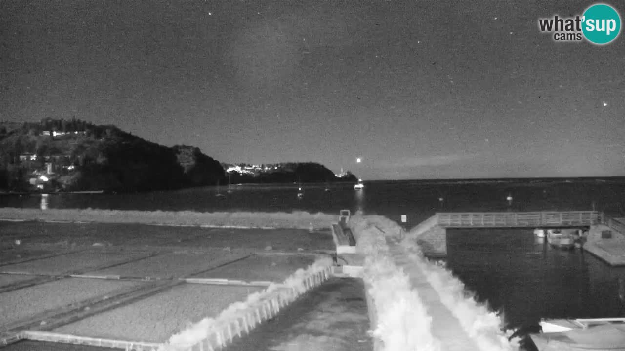 Krajinski park Strunjan