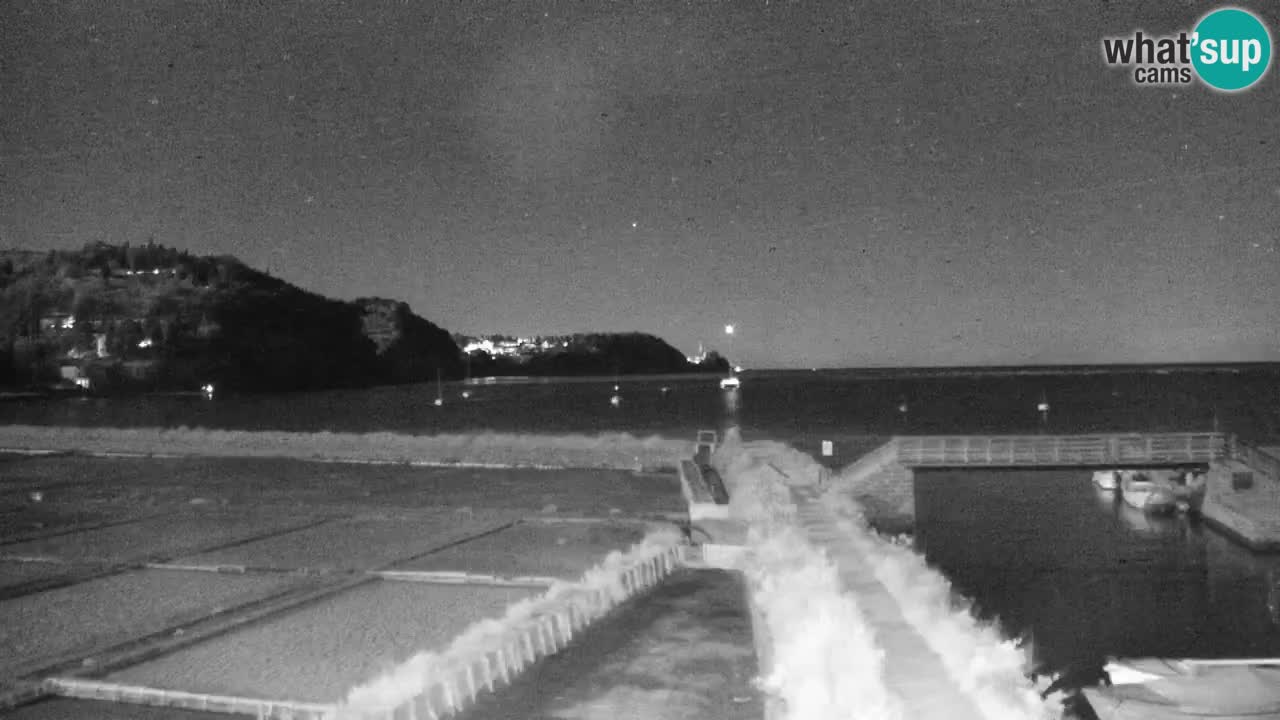 Krajinski park Strunjan