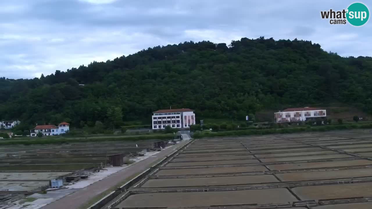 Krajinski park Strunjan u živo