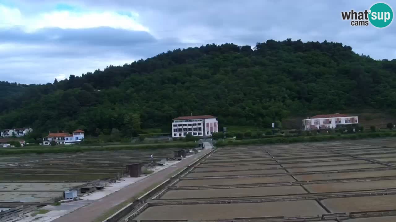 Krajinski park Strunjan