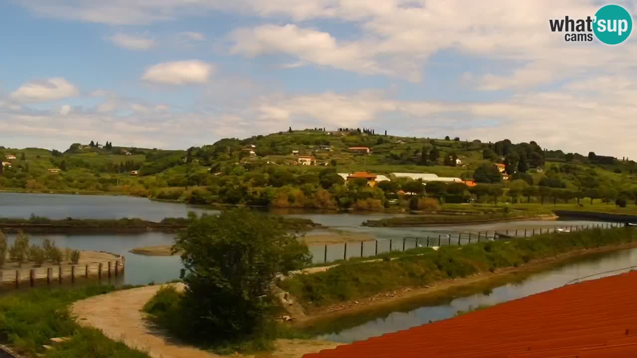 Krajinski park Strunjan v živo