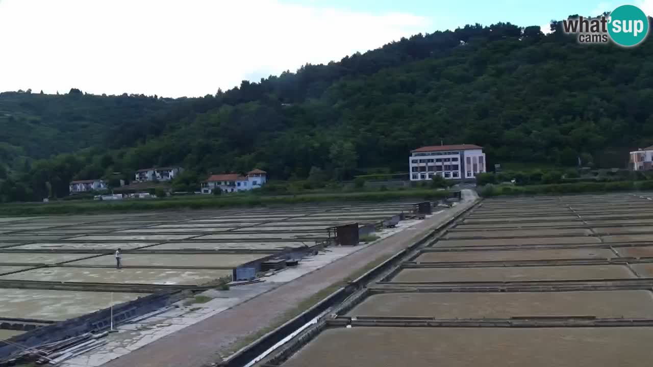 Krajinski park Strunjan u živo
