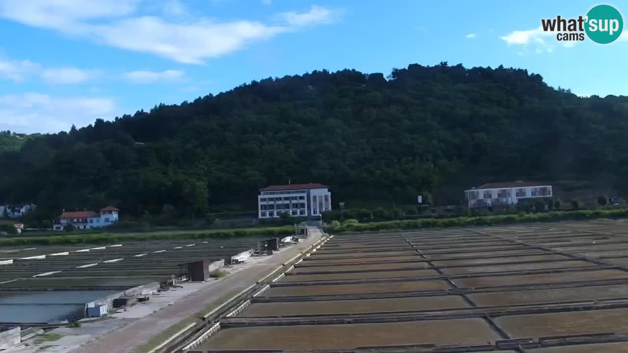 Krajinski park Strunjan