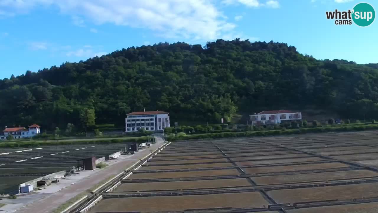 Krajinski park Strunjan