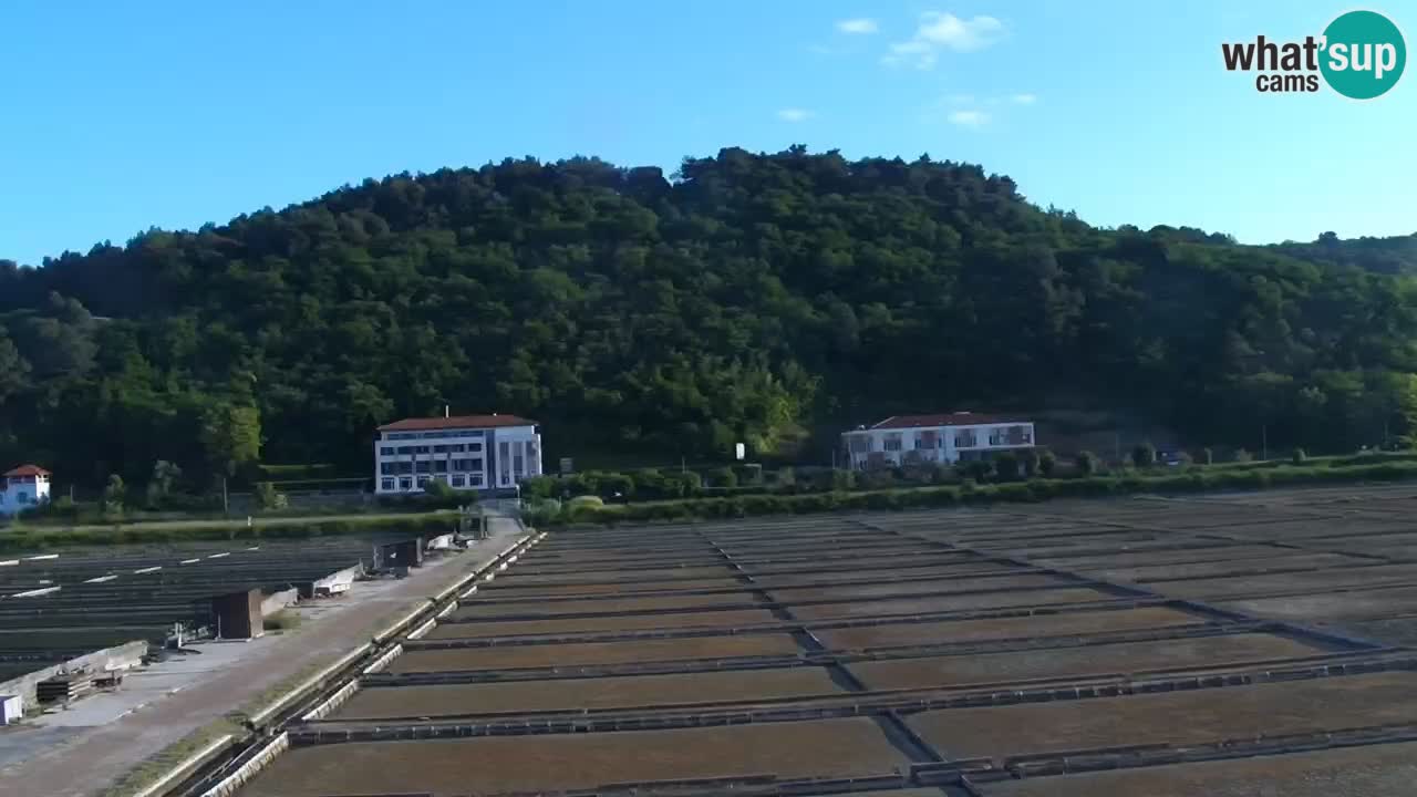 Krajinski park Strunjan v živo