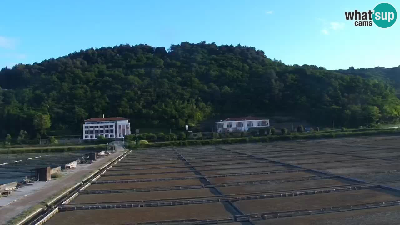 Krajinski park Strunjan