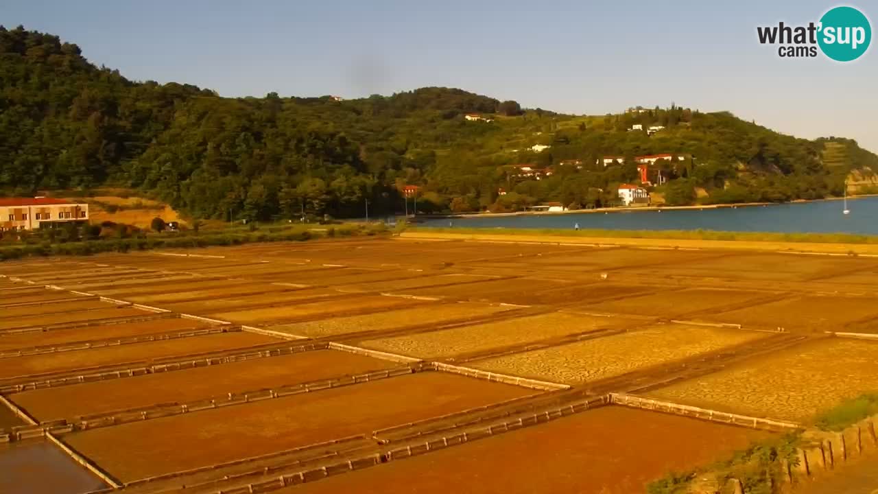 Krajinski park Strunjan