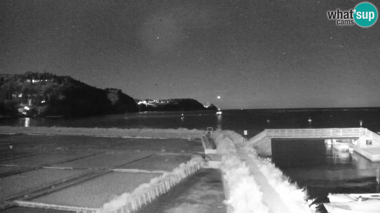 Krajinski park Strunjan u živo