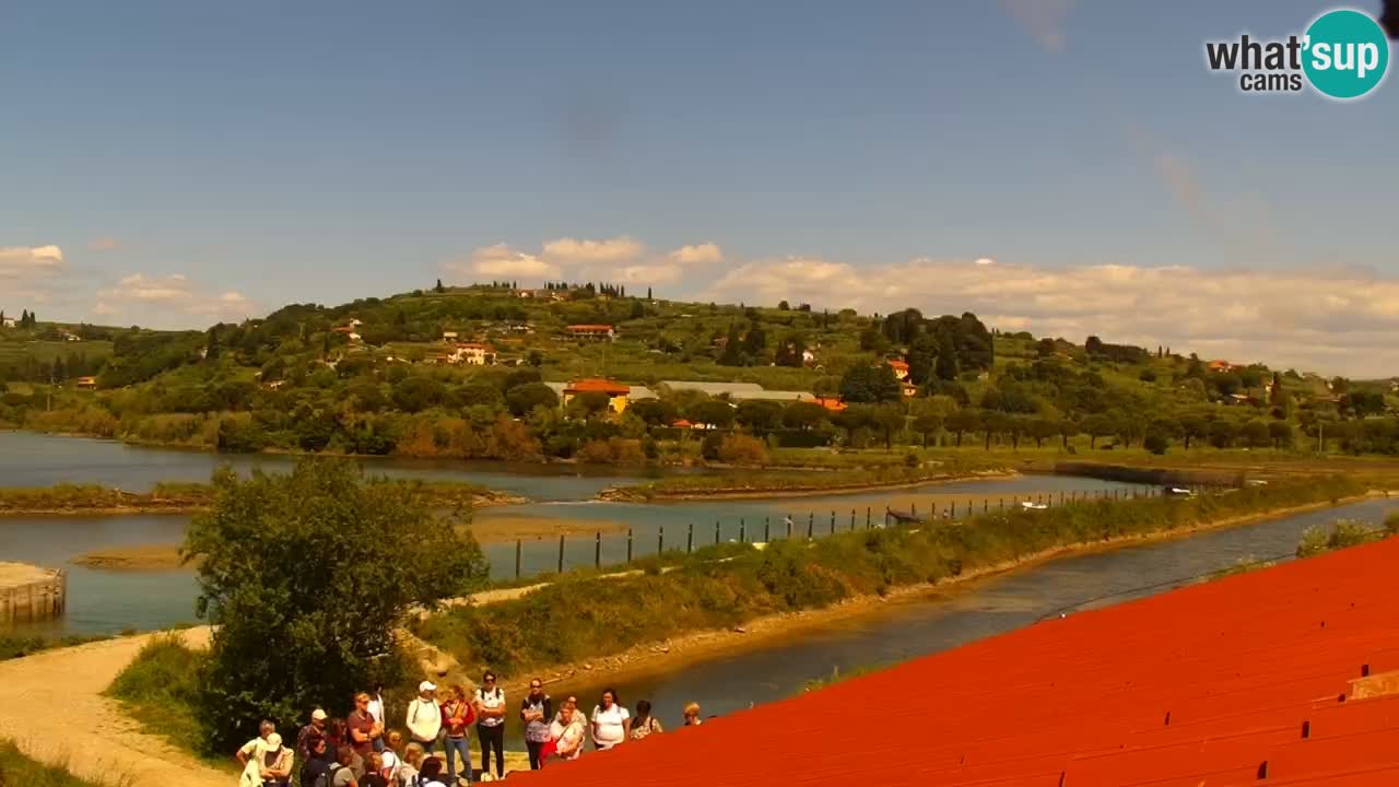 Krajinski park Strunjan u živo