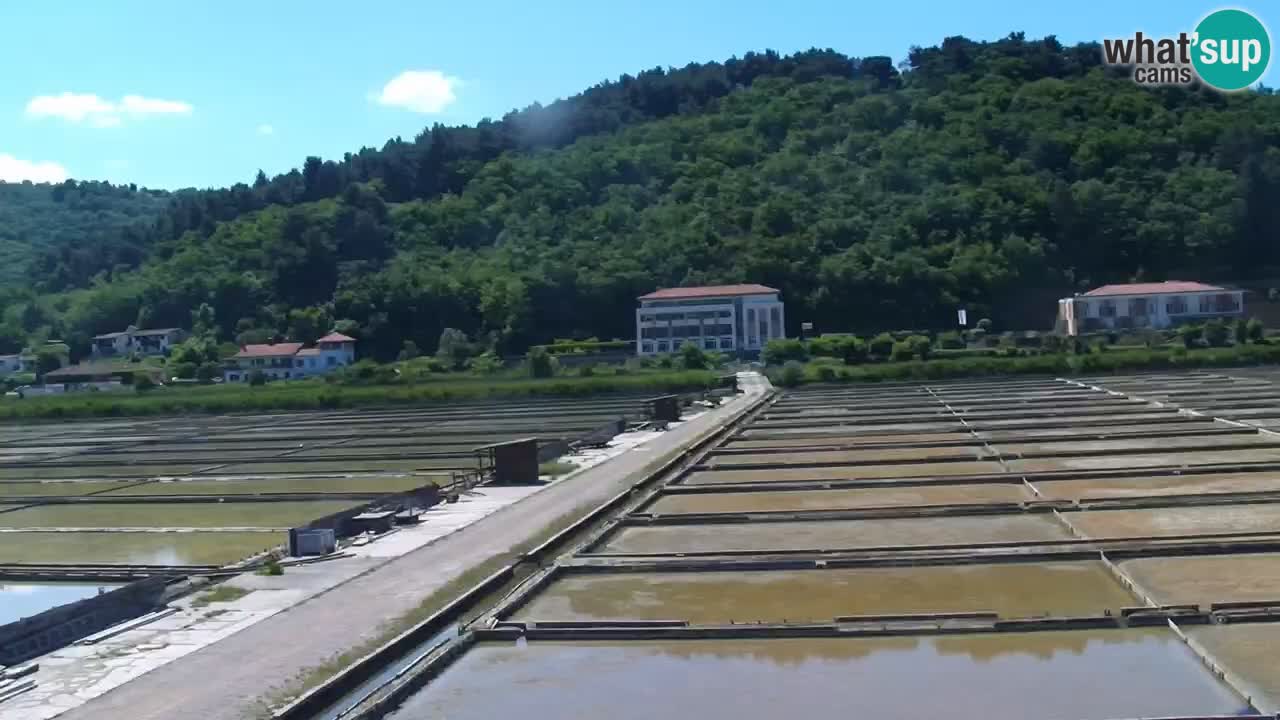 Parco naturale Strugnano