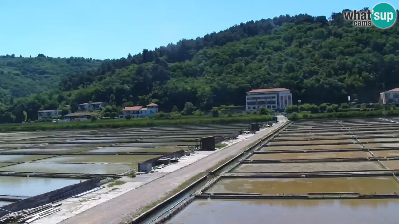Krajinski park Strunjan v živo