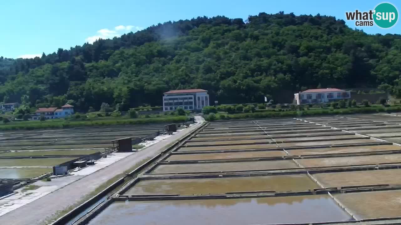 Krajinski park Strunjan u živo