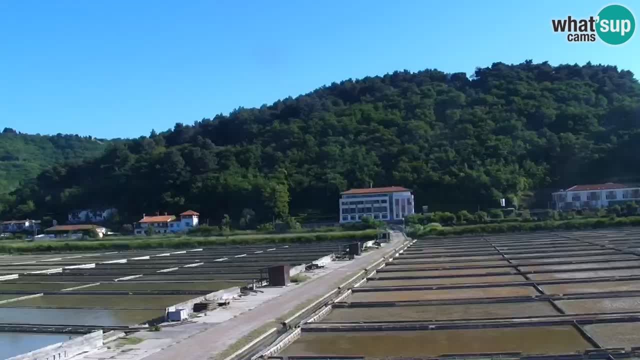 Krajinski park Strunjan u živo