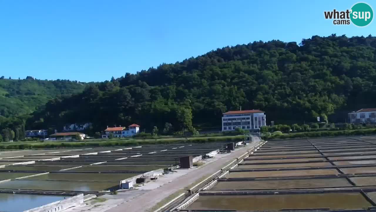 Krajinski park Strunjan