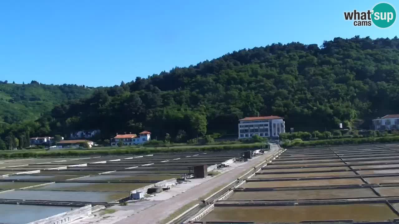 Krajinski park Strunjan