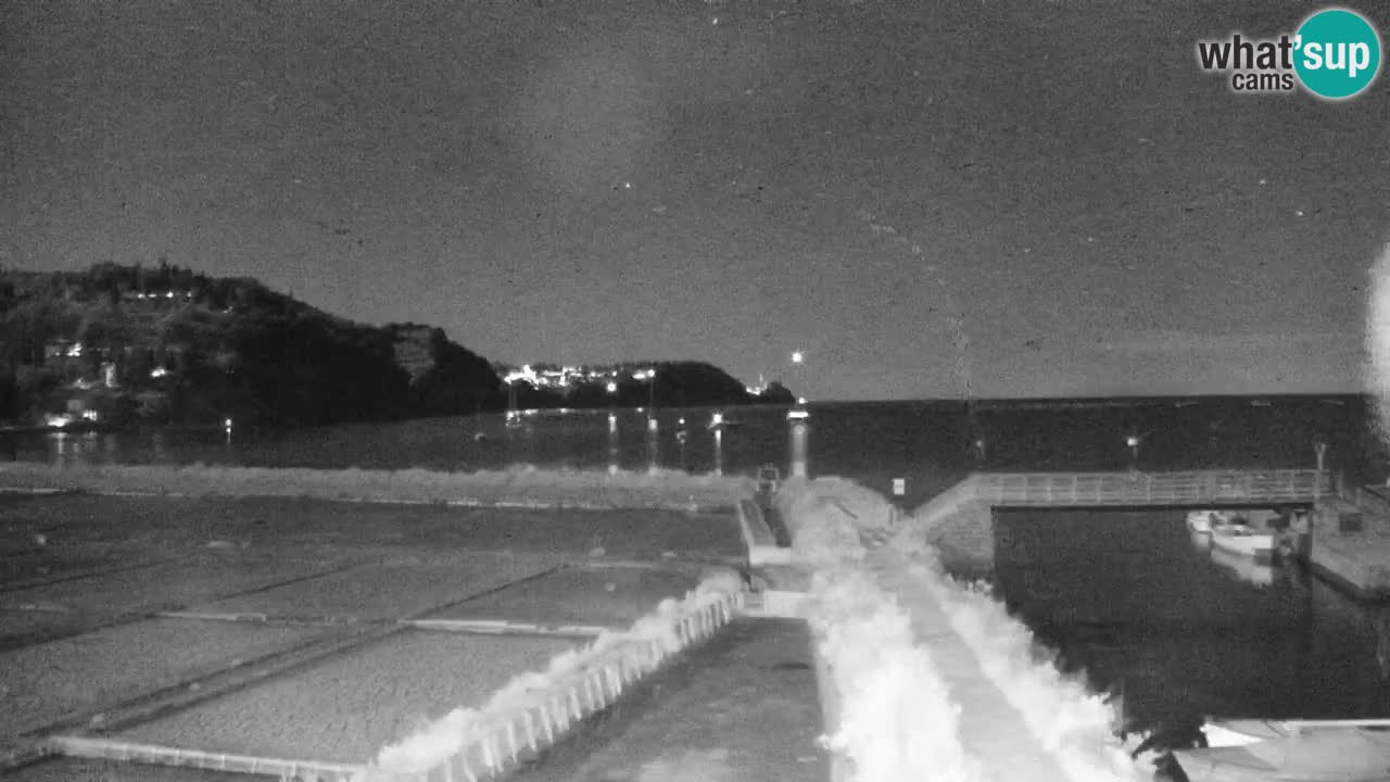 Krajinski park Strunjan u živo