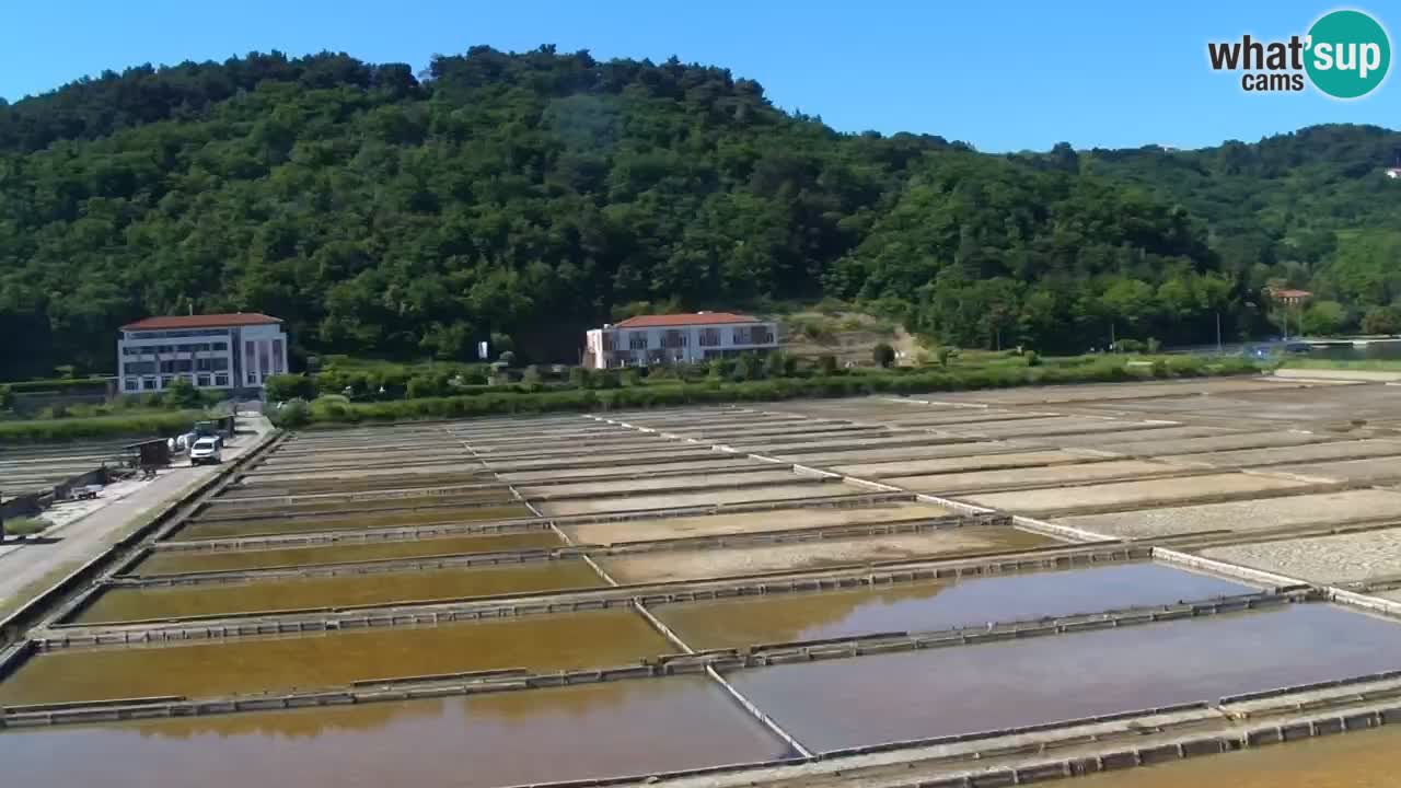 Krajinski park Strunjan v živo
