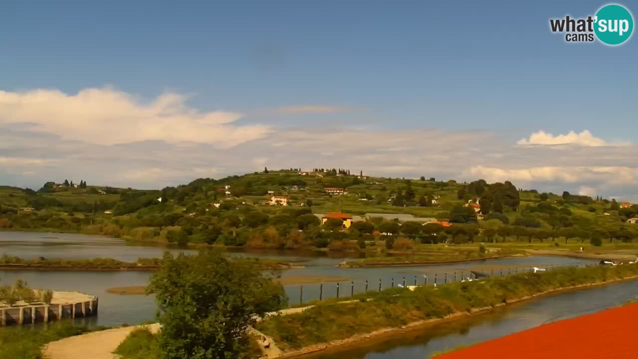 Krajinski park Strunjan v živo