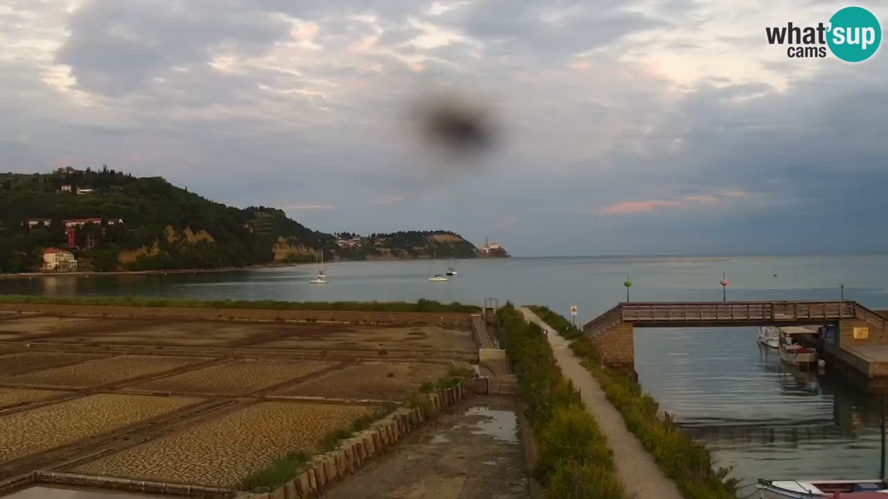 Krajinski park Strunjan