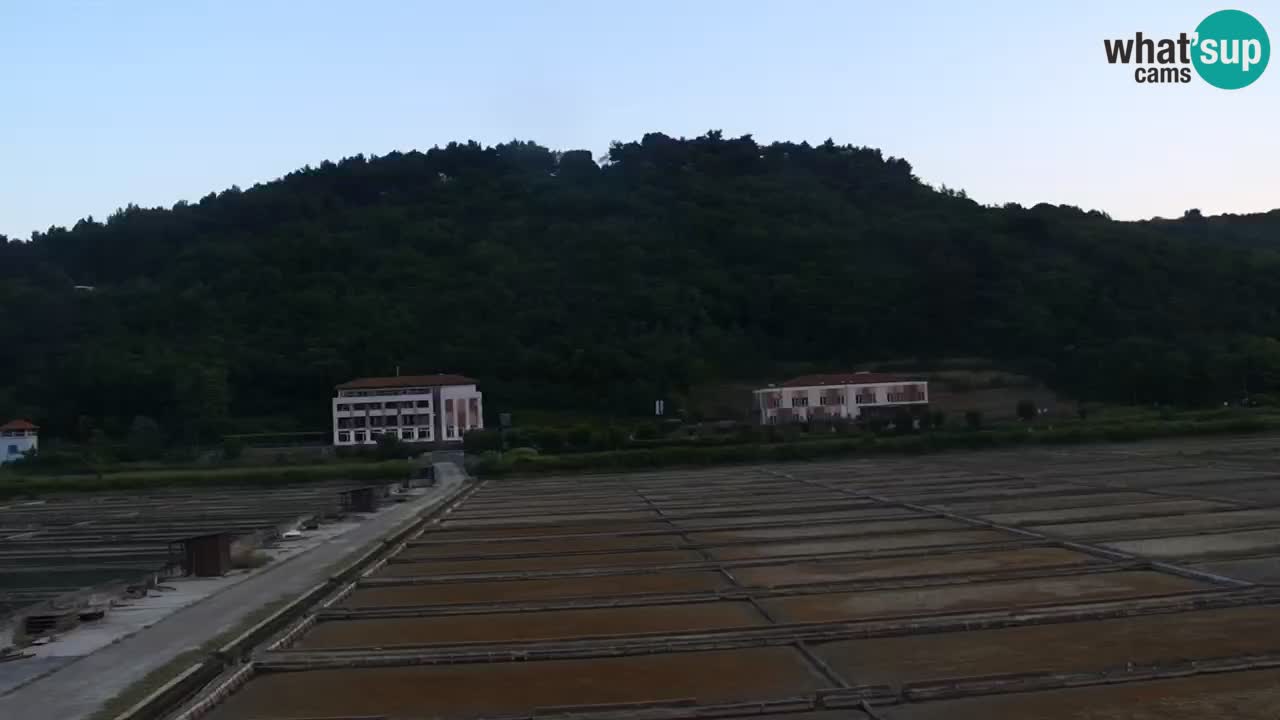 Krajinski park Strunjan v živo