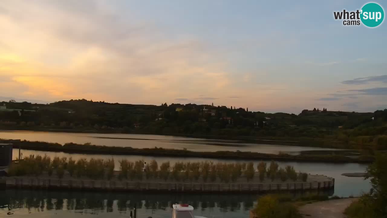 Krajinski park Strunjan u živo
