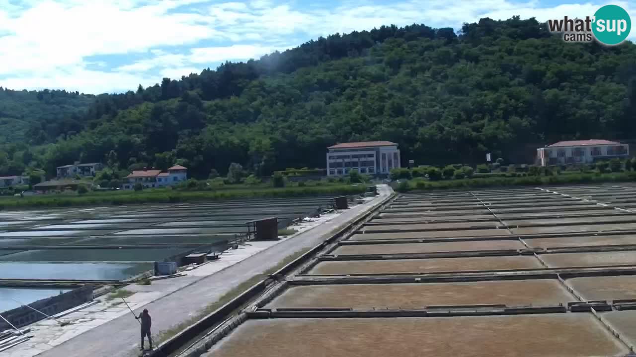 Krajinski park Strunjan v živo