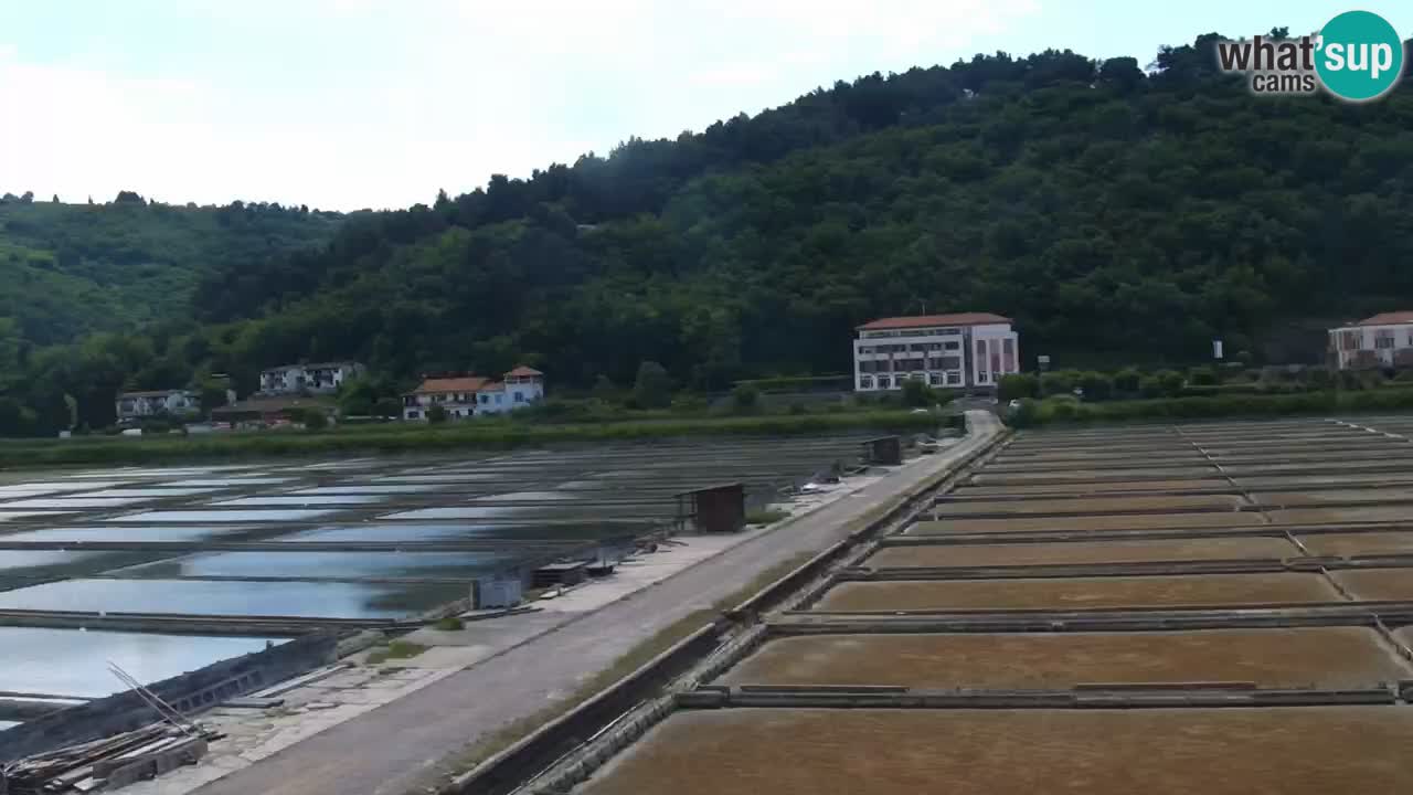 Krajinski park Strunjan