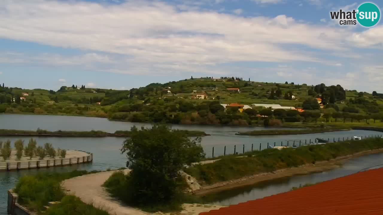 Krajinski park Strunjan u živo