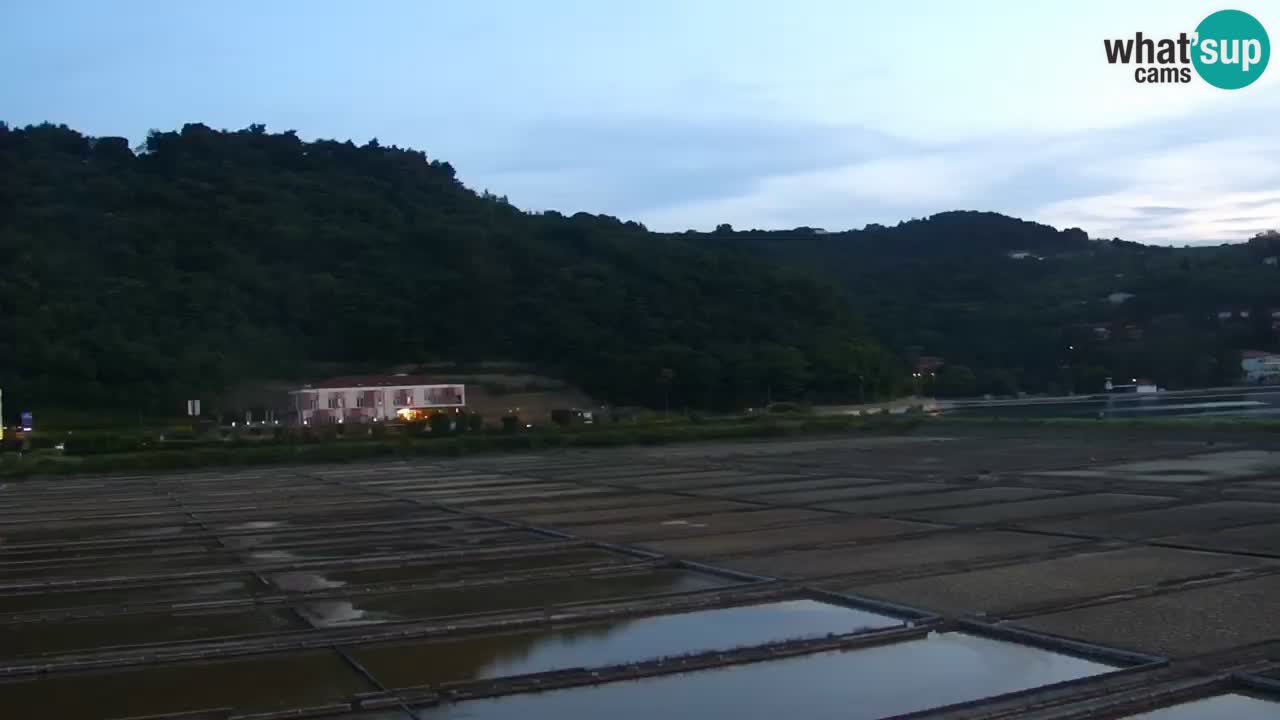 Krajinski park Strunjan u živo