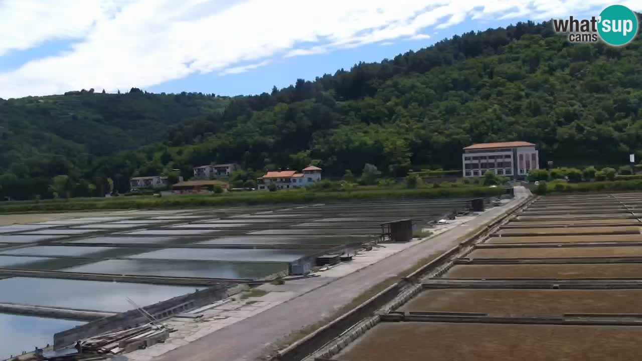 Krajinski park Strunjan