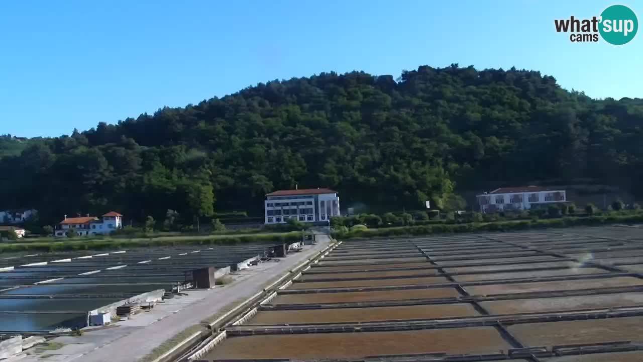 Krajinski park Strunjan